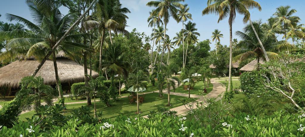 Carnoustie Ayurveda & Wellness Resort Alappuzha Ngoại thất bức ảnh